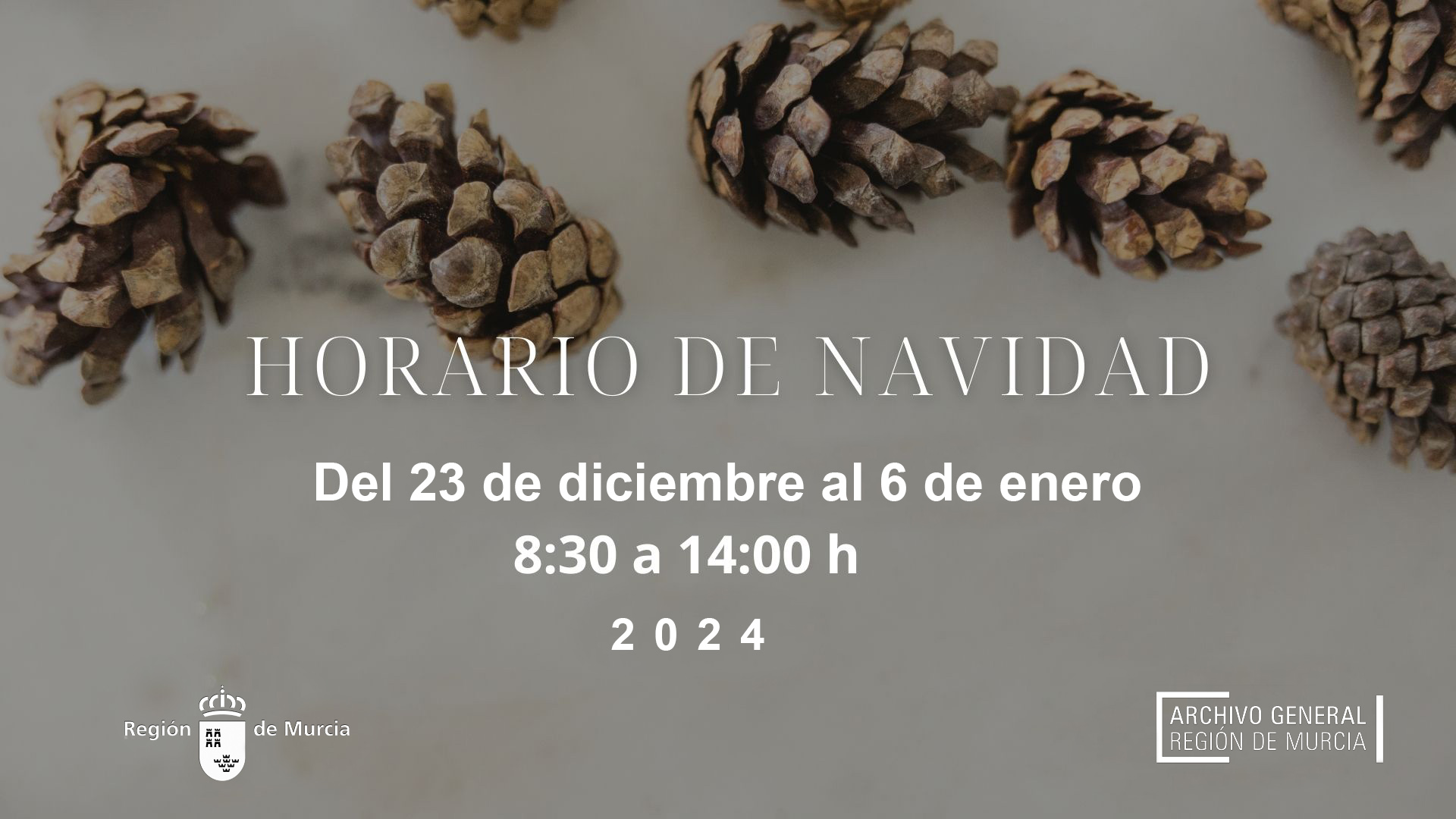 Horario Navidad 2024