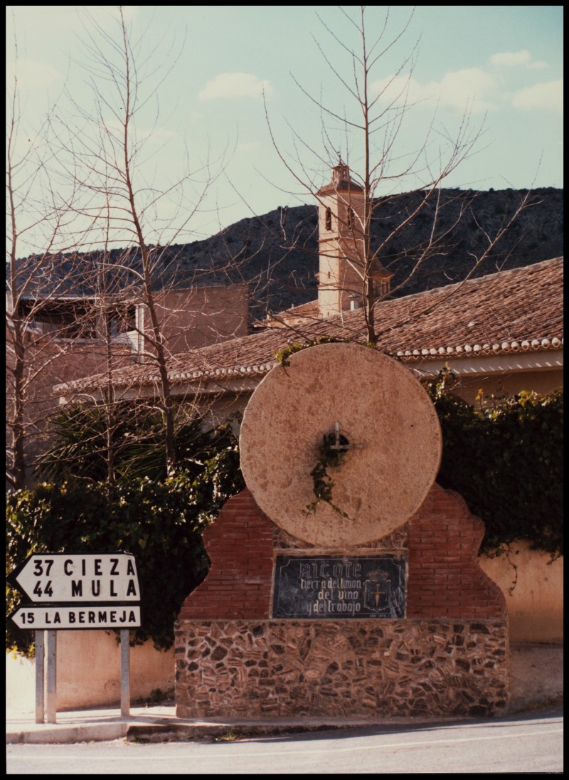 Ricote